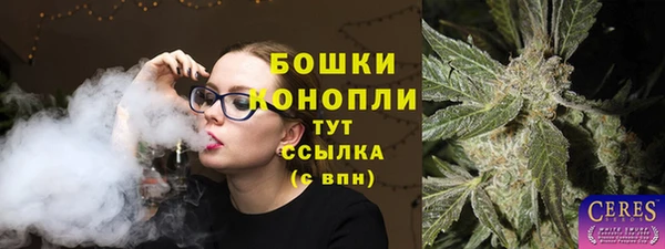apvp Медногорск