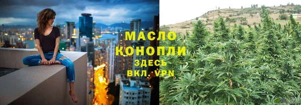 apvp Медногорск