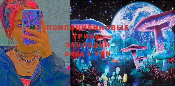 СК Володарск