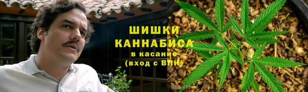 apvp Медногорск