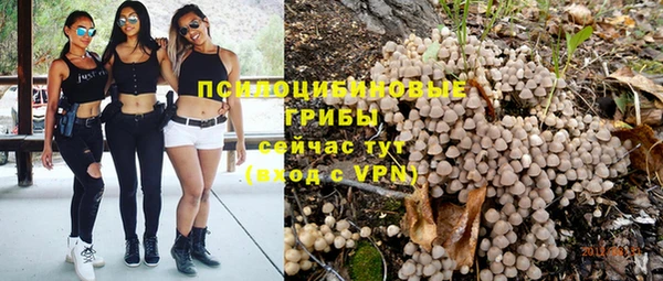 бутират Медвежьегорск