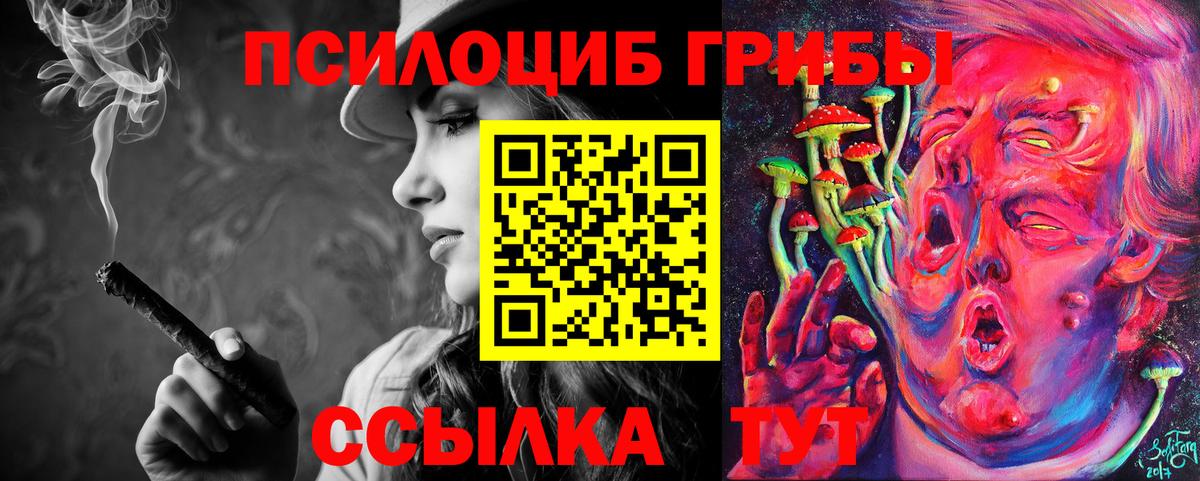 Псилоцибиновые грибы мицелий  Вход с VPN  Псилоцибиновые грибы ЛСД  Гагарин 