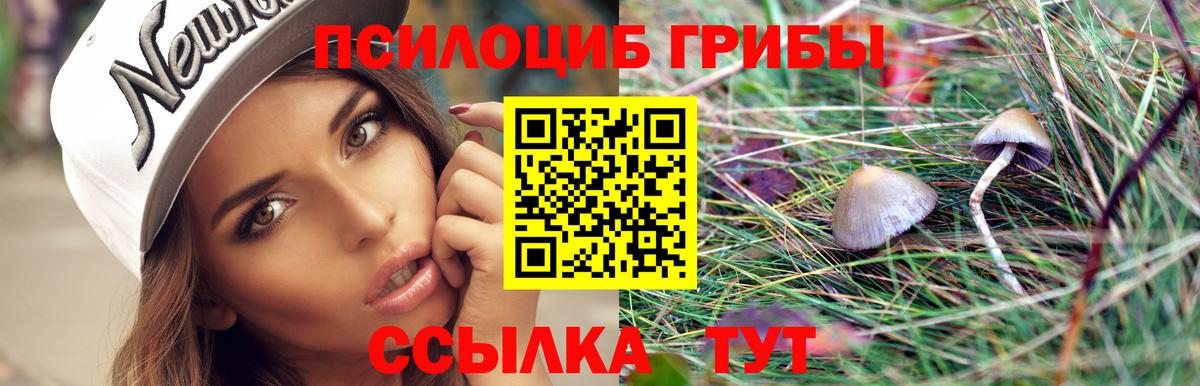 Псилоцибиновые грибы мицелий  Галлюциногенные грибы мицелий  Гагарин 